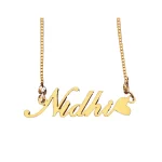 Heart Style Name Necklace Nidhi on white background